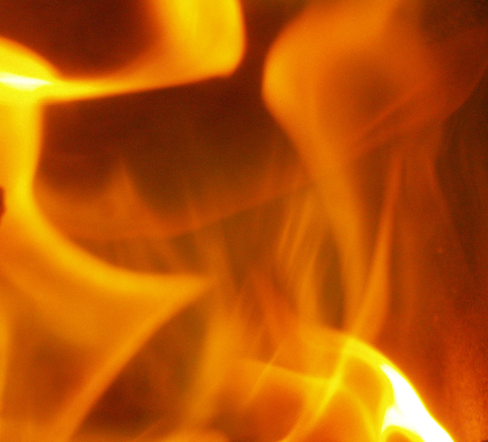The Environment - Flame Photos